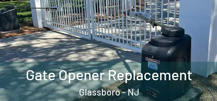  Gate Opener Replacement Glassboro - NJ
