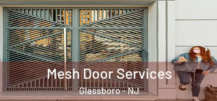 Mesh Door Services Glassboro - NJ